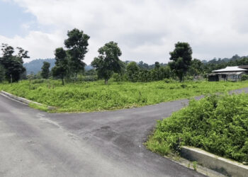 Improved road eases travel, boosts livelihood in Samrang Gewog