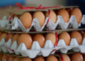Egg prices surge to a new high of Nu 500 per tray