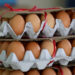 Egg prices surge to a new high of Nu 500 per tray