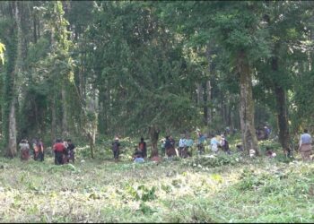 Second round of GMC volunteer engagement concludes with unity and gratitude