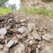 Deteriorating farm roads in Samdrup Jongkhar’s Lauri await maintenance