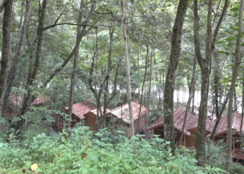 Roadside amenity plan in Punakha spirals into land controversy, Land Commission directs local authorities to investigate   