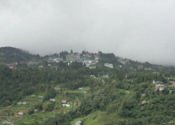 Stalled since 2002, Tsirang Dzongkhag Tshogdu urges speedy development of LAP 1 in Damphu