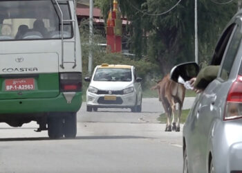 Paro residents call for safety upgrades on district court–Lamgong highway stretch