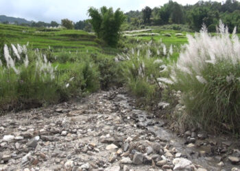Poor drainage leaves Radhi farmers battling flash floods every monsoon, Trashigang