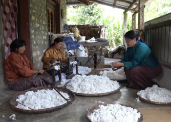 Women’s group in Dechhenling Gewog rekindles cotton farming tradition, Pema Gatshel