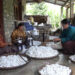 Women’s group in Dechhenling Gewog rekindles cotton farming tradition, Pema Gatshel