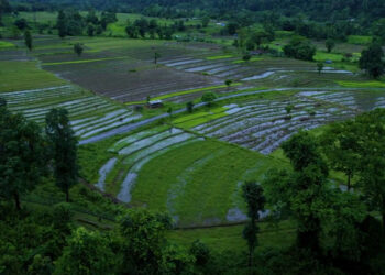 Climate-resilient irrigation revives over 180 acres farmland in Singye Gewog, Sarpang