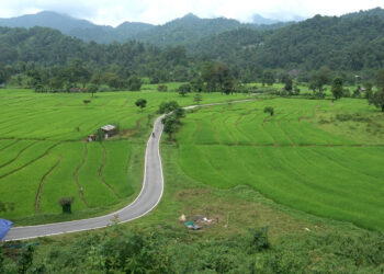 Singye Gewog’s blacktopped road brings relief, but bridges remain a concern, Sarpang