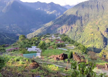 Farmers find relief as chain-link fences keep wildlife at bay