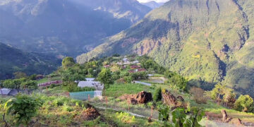Farmers find relief as chain-link fences keep wildlife at bay