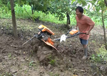 Mini power tillers make farming faster and easier in Pema Gatshel