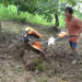 Mini power tillers make farming faster and easier in Pema Gatshel