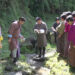 eDNA training brings science closer to communities in Punakha