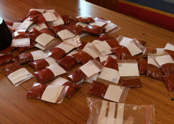 Over 120 chilli powder samples from Paro’s Dogar Gewog tested for lead contamination