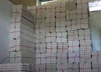 Egg tray plant in Tsirang promises cheaper, local supply for poultry farmers