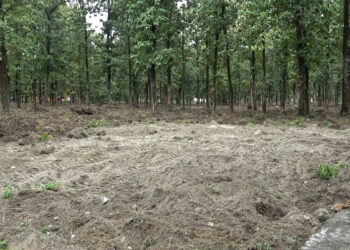 Over 5000 volunteers register for third round of works at GMC