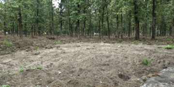 Over 5000 volunteers register for third round of works at GMC