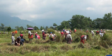 Rising volunteer spirit powers third phase of works in Gelephu Mindfulness City