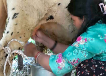 Dairy group empowers women in Pema Gatshel’s Shumar Gewog transforming livelihoods