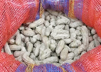 Chhiphung community steps closer to producing their own oil