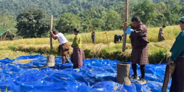 Birdwatching, harvests, and local cuisine: Chhukha’s tourism goes beyond monuments