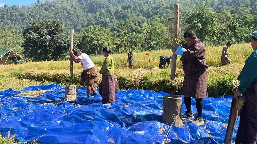 Birdwatching, harvests, and local cuisine: Chhukha’s tourism goes beyond monuments