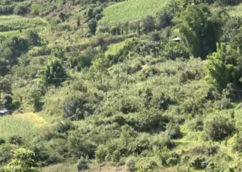 Remote villages seek chain-link fencing to protect crops from wildlife