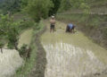 Bhutanese farmers reap fruits of His Majesty the Fourth Druk Gyalpo’s visionary Resettlement Programme