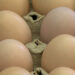 BLDCL eggs at lower price struggle to meet market demand, prices remain high