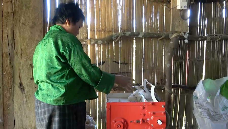 Women’s group in Dechhenling revive cotton cultivation with machine support