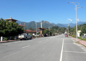 Visitors notice Gelephu now free of stray dogs