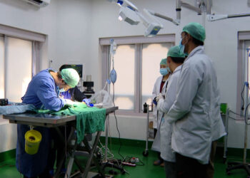 National Veterinary Hospital makes life-saving vet services available, many pet owners still unaware