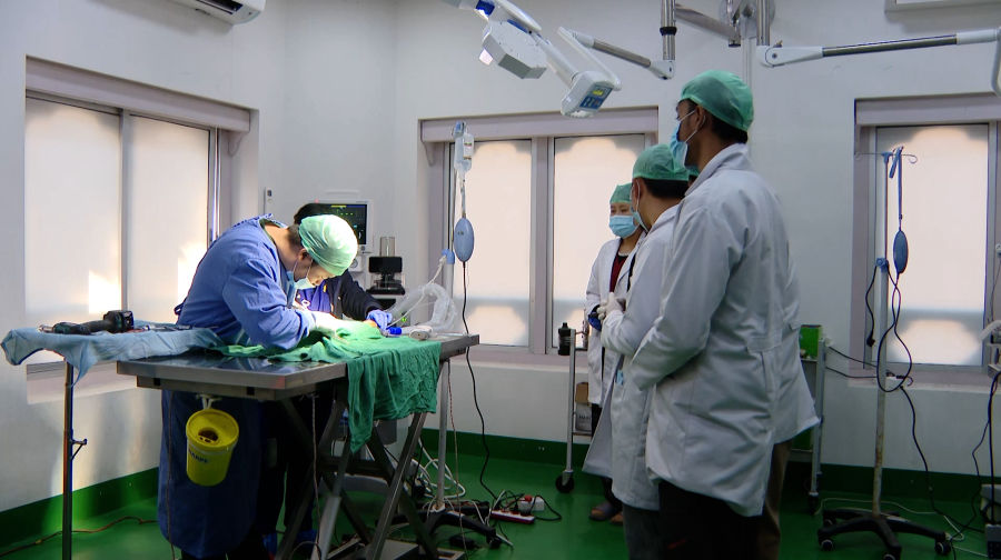 National Veterinary Hospital makes life-saving vet services available, many pet owners still unaware