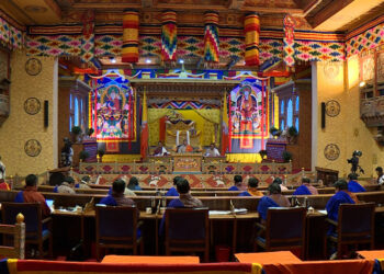 National Council recommends delinking health workforce to address rising attrition