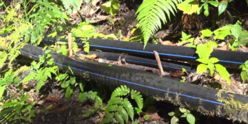 Decades-long water shortage in Barp Gewog set to end next year, Punakha