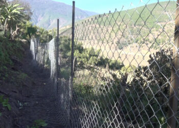 Wangdue Phodrang farmers pilot advanced hybrid fencing to keep wildlife away
