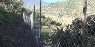 Wangdue Phodrang farmers pilot advanced hybrid fencing to keep wildlife away