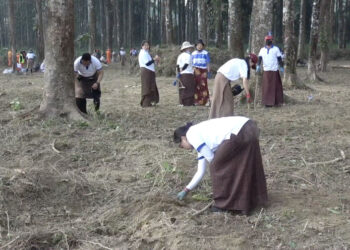 Educators, students and trainees choose service over holiday at GMC