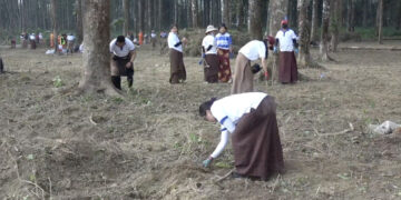 Educators, students and trainees choose service over holiday at GMC