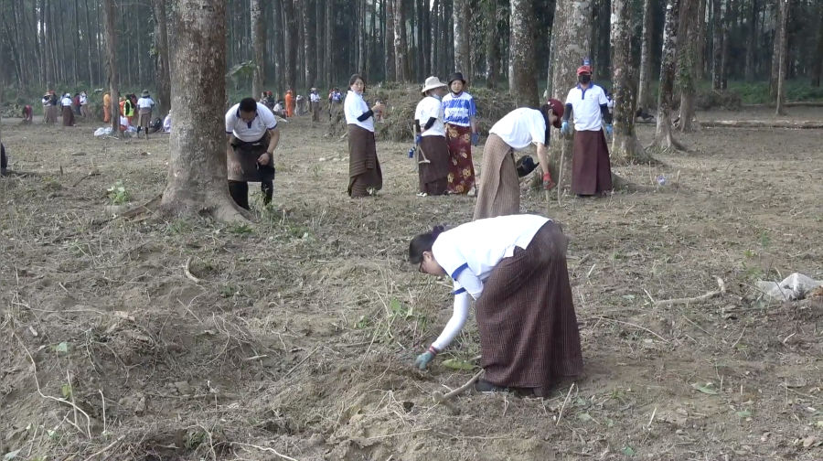 Educators, students and trainees choose service over holiday at GMC