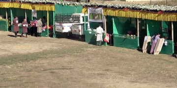 Second Dagap Farm Festival sees low turnout, farmers report limited sales