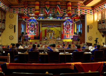 NC’s legislative committee proposes faster judgments for abortion cases from rape, incest