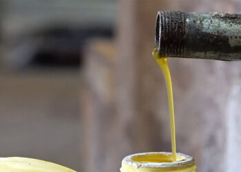 Non-functional oil expeller forces Haa villagers to extract mustard oil in Paro