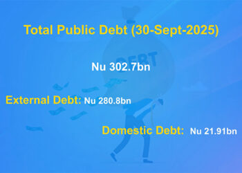 Public debt declines slightly as domestic borrowings drop