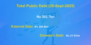 Public debt declines slightly as domestic borrowings drop
