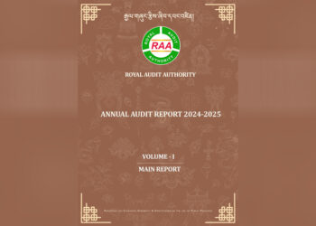 RAA flags Nu 9.98bn in financial irregularities for 2024–2025