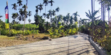 Better connectivity, better livelihoods for Pemathang farmers