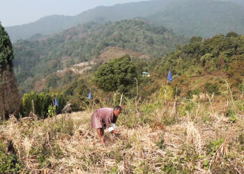 New road brings Kodongma farmland back to life