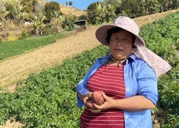 Winter potato farming brings income and opportunity to local women in Chulabi Village